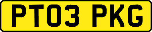 PT03PKG