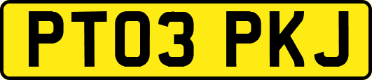 PT03PKJ