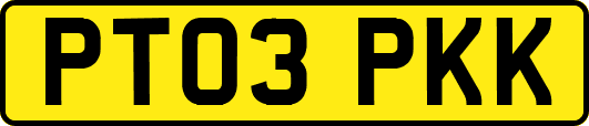 PT03PKK