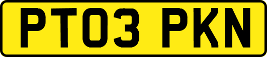 PT03PKN