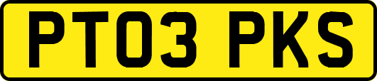 PT03PKS