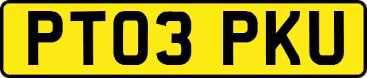 PT03PKU