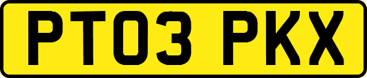 PT03PKX