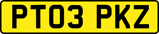 PT03PKZ