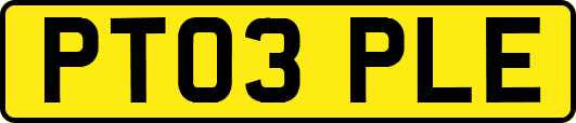 PT03PLE