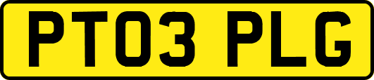 PT03PLG