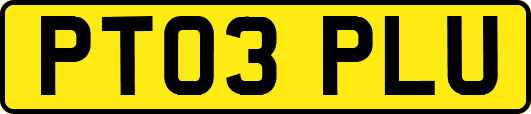 PT03PLU