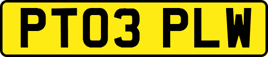 PT03PLW