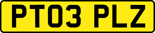 PT03PLZ