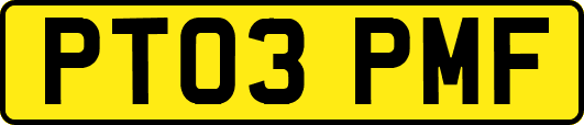 PT03PMF
