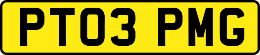 PT03PMG