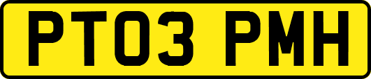 PT03PMH