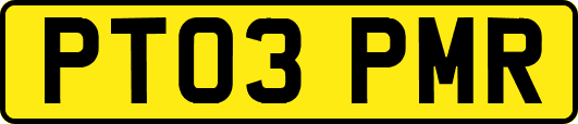 PT03PMR