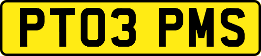 PT03PMS