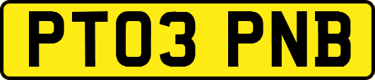 PT03PNB