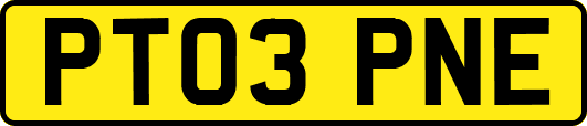 PT03PNE