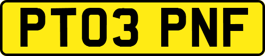 PT03PNF