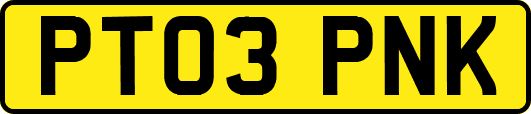 PT03PNK