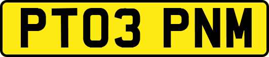 PT03PNM