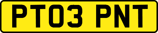PT03PNT