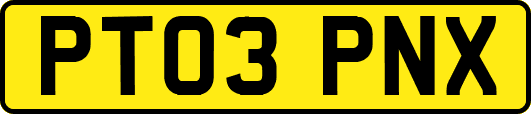 PT03PNX