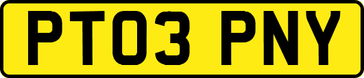 PT03PNY