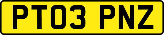 PT03PNZ