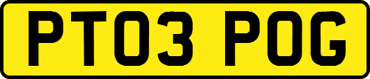 PT03POG
