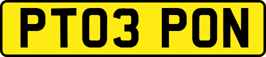 PT03PON