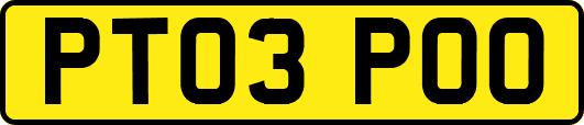 PT03POO