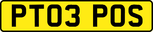 PT03POS