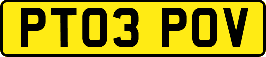PT03POV