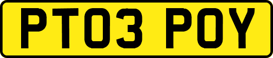 PT03POY