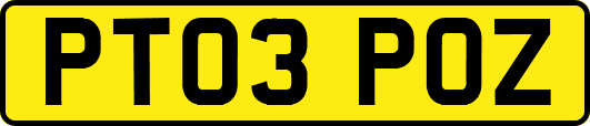 PT03POZ