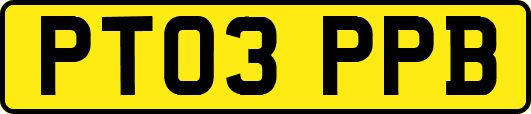 PT03PPB
