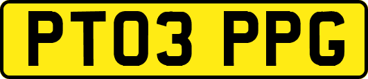 PT03PPG
