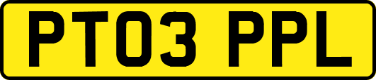PT03PPL