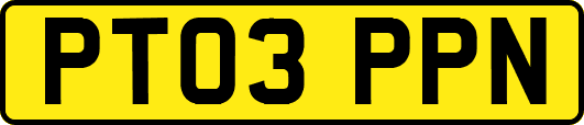 PT03PPN