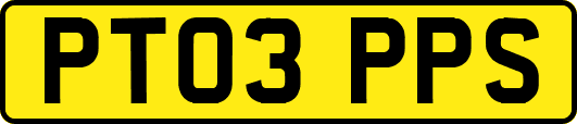 PT03PPS