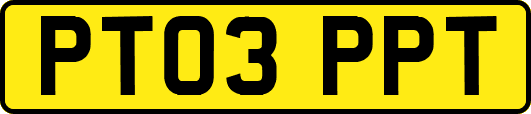 PT03PPT