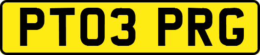 PT03PRG