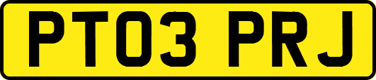 PT03PRJ