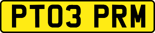 PT03PRM