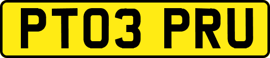 PT03PRU
