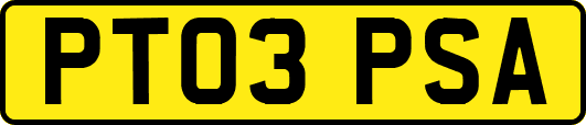 PT03PSA