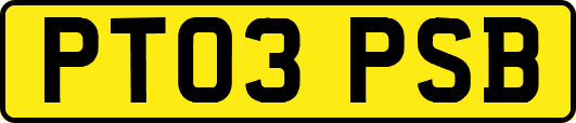 PT03PSB