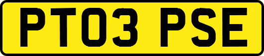 PT03PSE