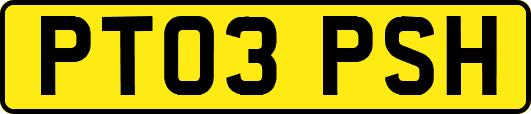 PT03PSH