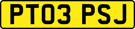 PT03PSJ