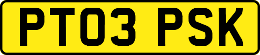 PT03PSK